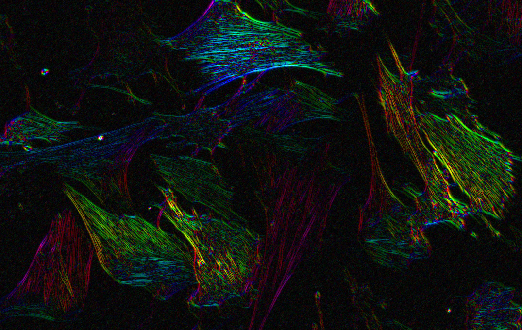 Digially stained image
