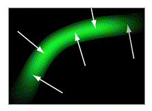 Using brightness gradients to calculate fiber orientation
